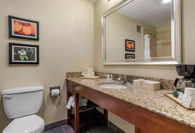اتاق استاندارد با تخت بزرگ, Comfort Inn