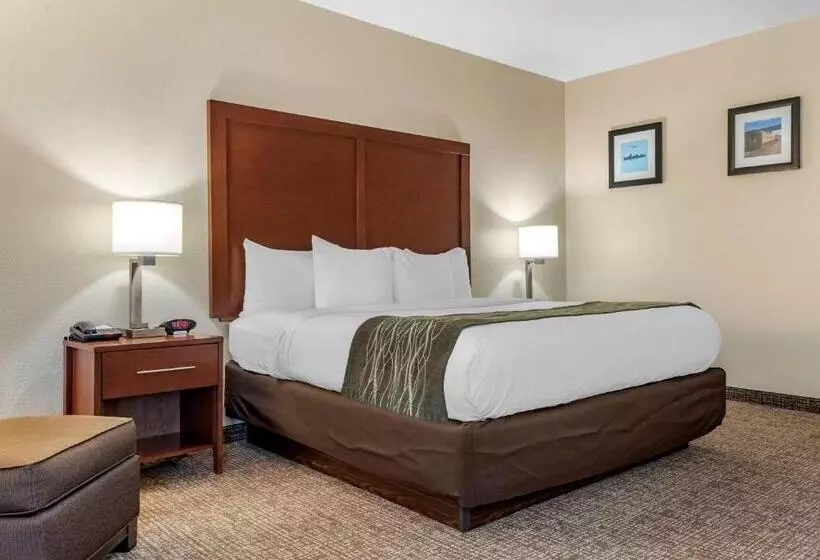 اتاق استاندارد با تخت بزرگ, Comfort Inn