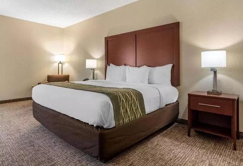 اتاق استاندارد با تخت بزرگ, Comfort Inn