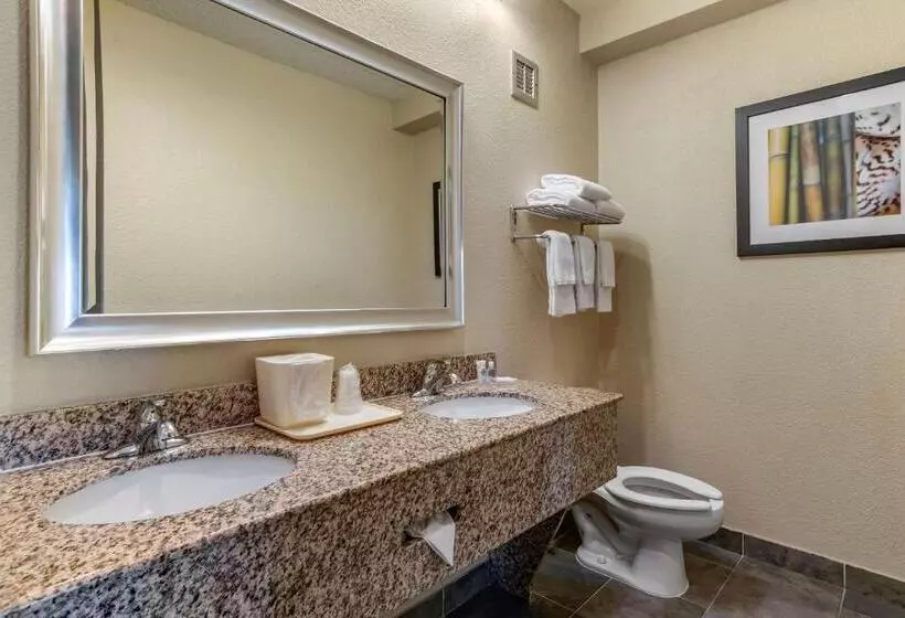 سوئیت با تخت بزرگ, Comfort Inn