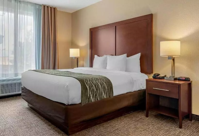 سوئیت با تخت بزرگ, Comfort Inn