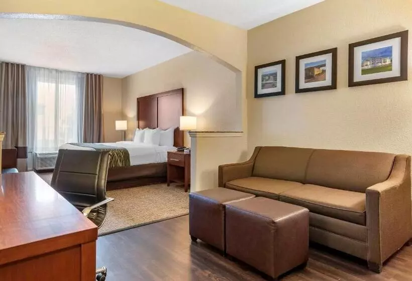 سوئیت با تخت بزرگ, Comfort Inn