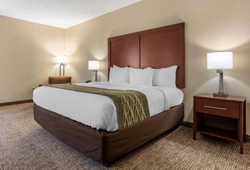 غرفة قياسية سرير كينج لذوى الإحتياجات الخاصة, Comfort Inn