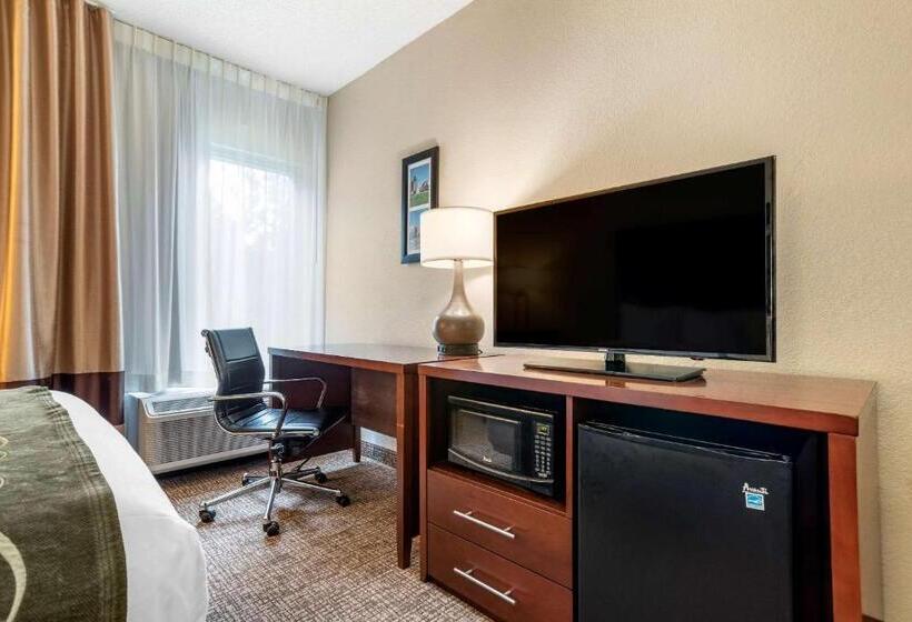 غرفة قياسية سرير كينج لذوى الإحتياجات الخاصة, Comfort Inn