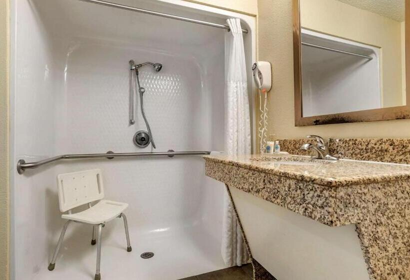 Номер Стандарт Кровать Кинг Адаптированный для Инвалидов, Comfort Inn