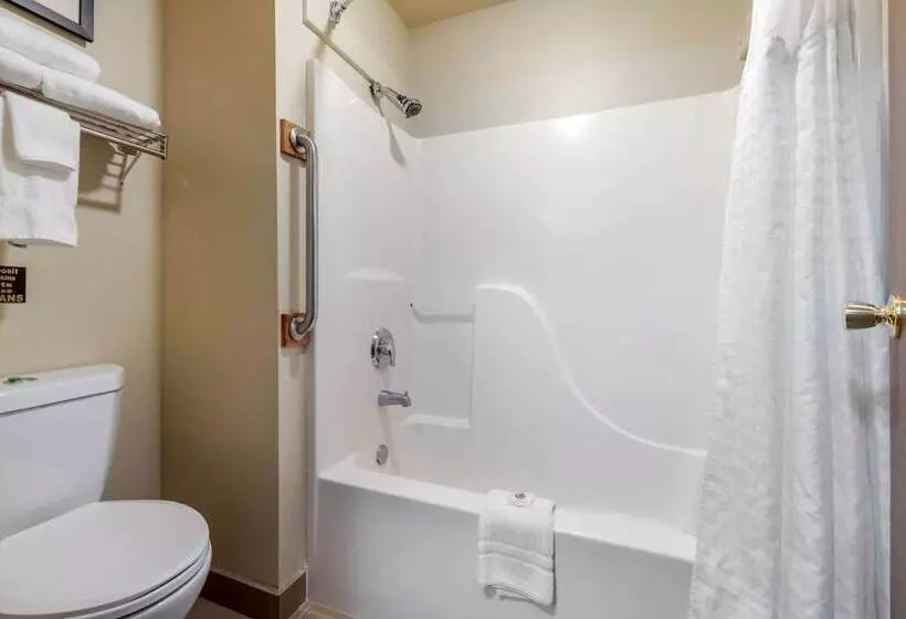２ダブルベッドのスタンダードルーム, Comfort Inn & Suites Alamosa