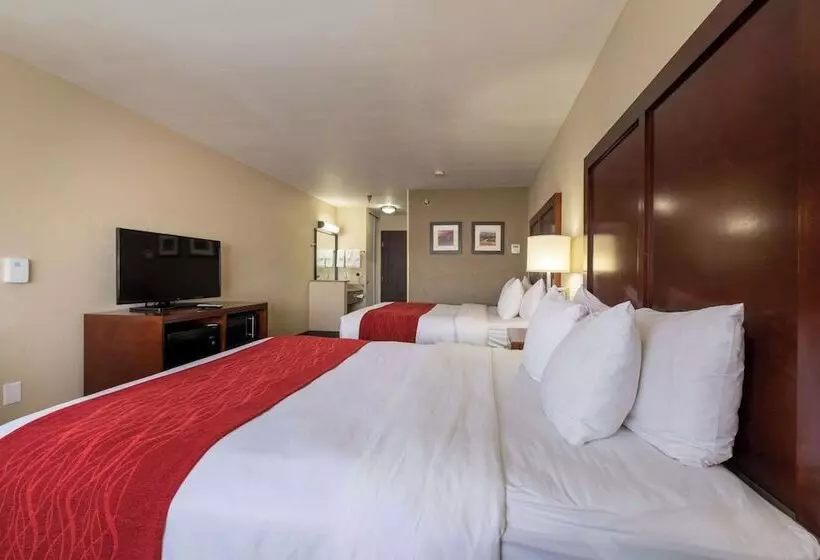 ２ダブルベッドのスタンダードルーム, Comfort Inn & Suites Alamosa