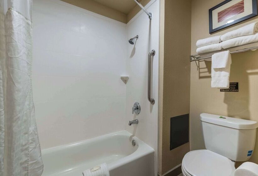 غرفه قياسيه سريرين مزدوجين, Comfort Inn & Suites Alamosa