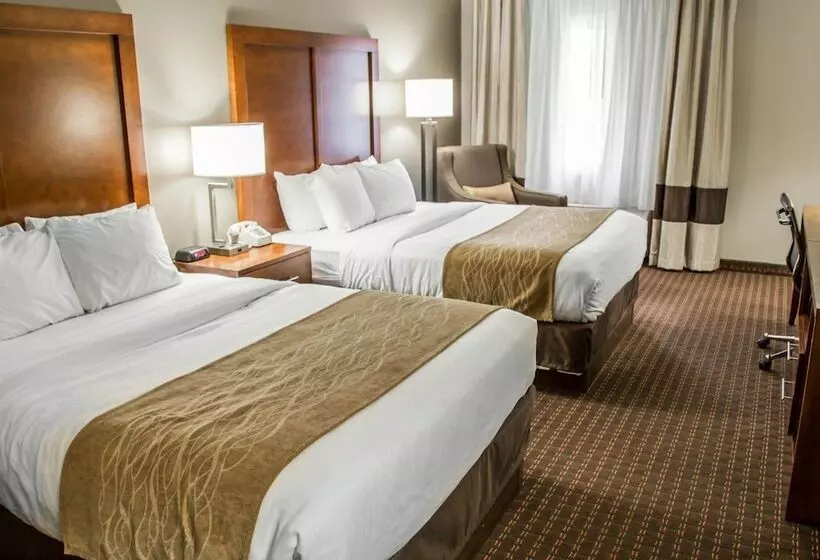 ２ダブルベッドのスタンダードルーム, Comfort Inn & Suites Riverview Near Davenport And I80