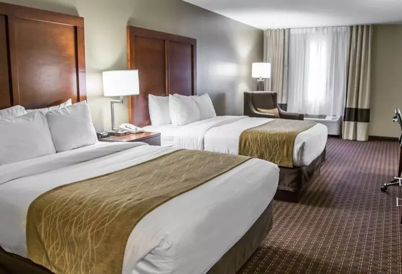 ２ダブルベッドのスタンダードルーム, Comfort Inn & Suites Riverview Near Davenport And I80