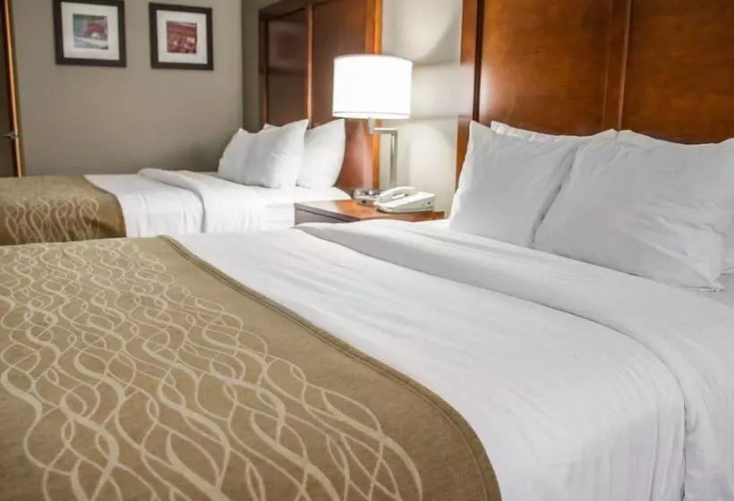 ２ダブルベッドのスタンダードルーム, Comfort Inn & Suites Riverview Near Davenport And I80