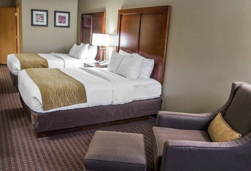 스탠다드 룸 더블 침대 2개, Comfort Inn & Suites Riverview Near Davenport And I80