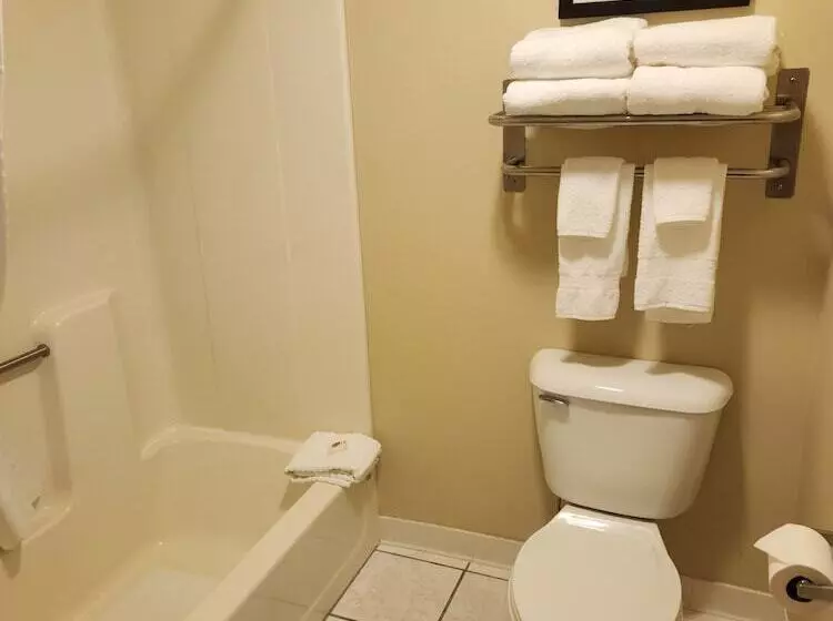 リバービュースイート, Comfort Inn & Suites Riverview Near Davenport And I80