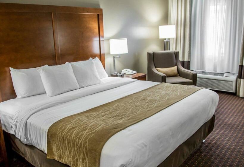 강 전망 스위트, Comfort Inn & Suites Riverview Near Davenport And I80