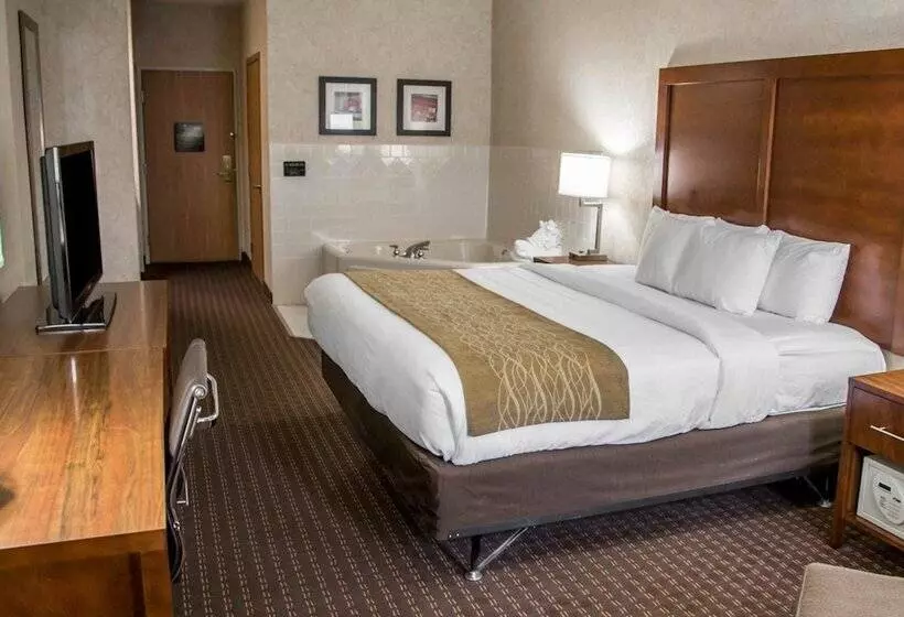 リバービュースイート, Comfort Inn & Suites Riverview Near Davenport And I80