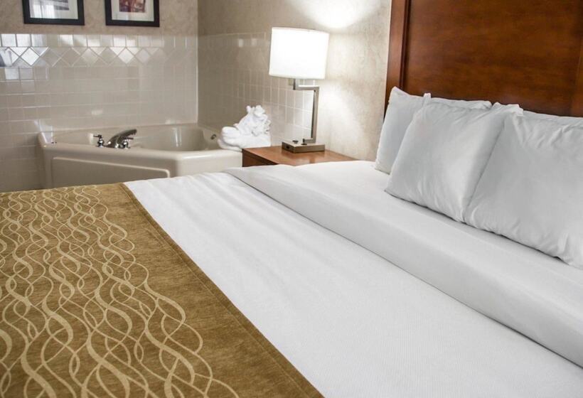 강 전망 스위트, Comfort Inn & Suites Riverview Near Davenport And I80