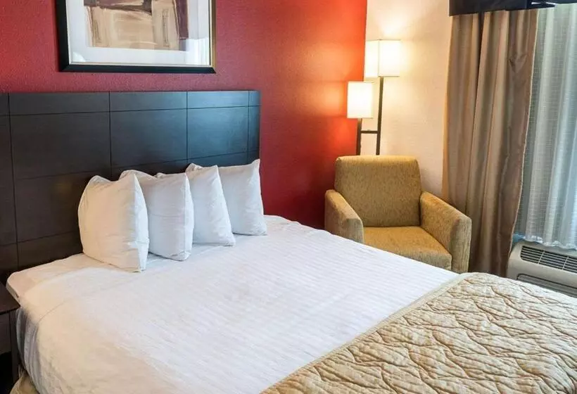 キングサイズベッドのスタンダードルーム, Quality Inn