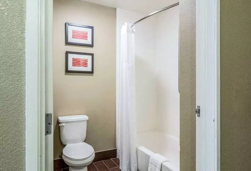 Sviitti, Quality Inn & Suites Salem Near I57