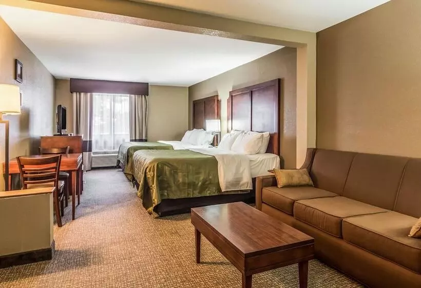 Sviitti, Quality Inn & Suites Salem Near I57