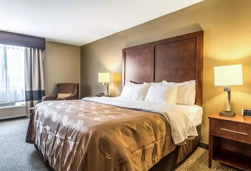 Sviitti, Quality Inn & Suites Salem Near I57