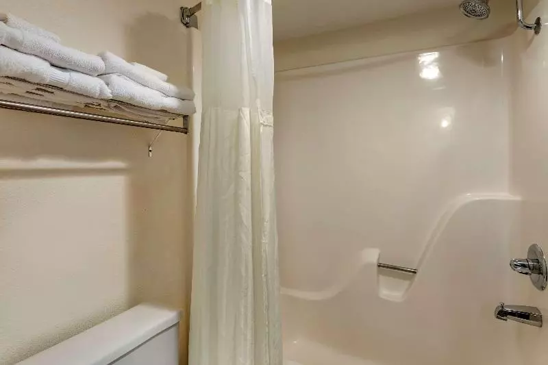 اتاق استاندارد با تخت بزرگ, Quality Inn & Suites Steamboat Springs