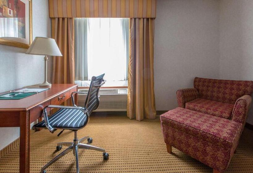 Стандартный Номер Кровать Кинг, Quality Inn & Suites University