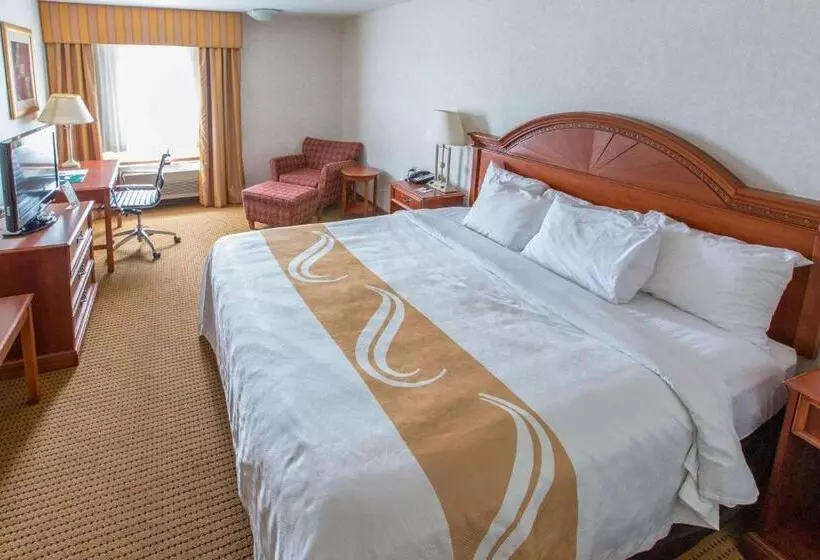 キングサイズベッドのスタンダードルーム, Quality Inn & Suites University