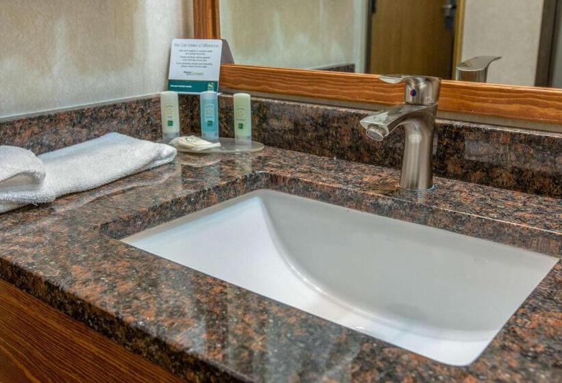 带大床的标准间, Quality Inn & Suites University