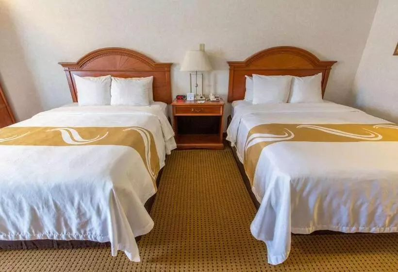 スタンダードルーム, Quality Inn & Suites University