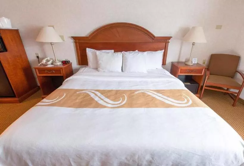 身障者適用キングサイズベッドルーム, Quality Inn & Suites University