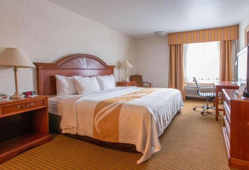 适合残疾人士使用的带超级大床的标准间, Quality Inn & Suites University