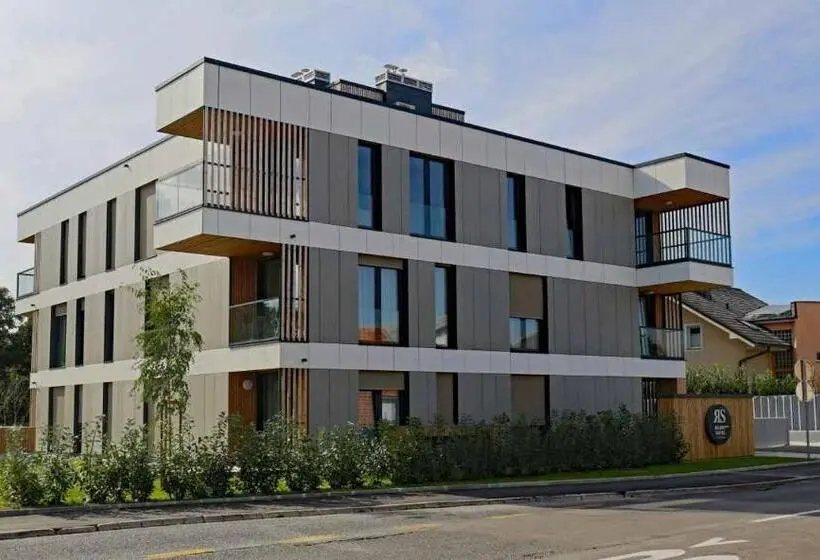 آپارتمان 1 خوابه همکف, Regentova Suites Ljubljana