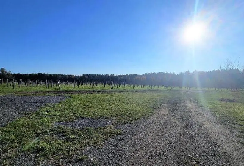 1ベッドルームハウス, Auberge Du Vignoble Bromont