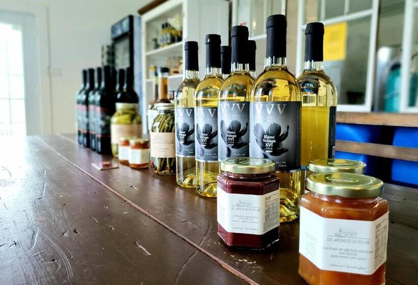 Номер Стандарт Вид на Сад, Auberge Du Vignoble Bromont