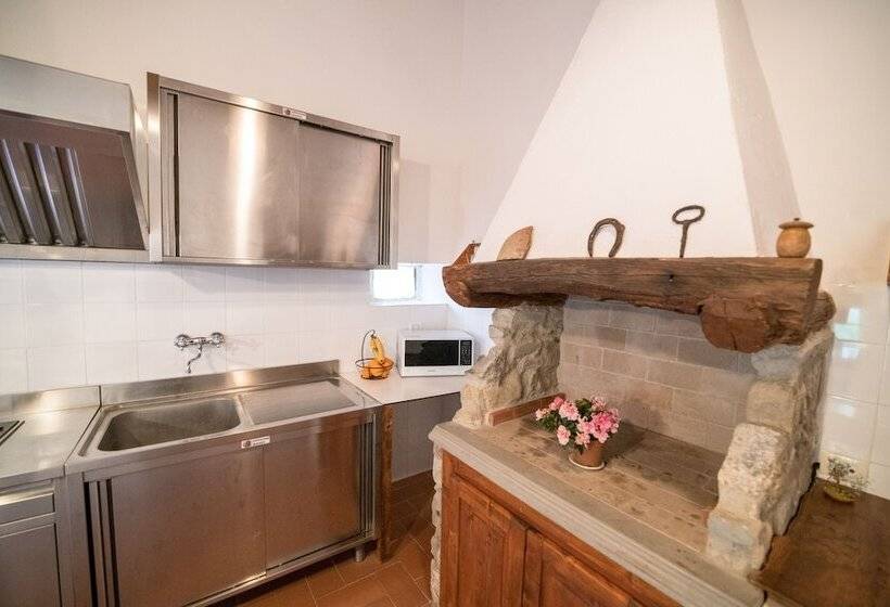 标准间, Fattoria Di Cintoia