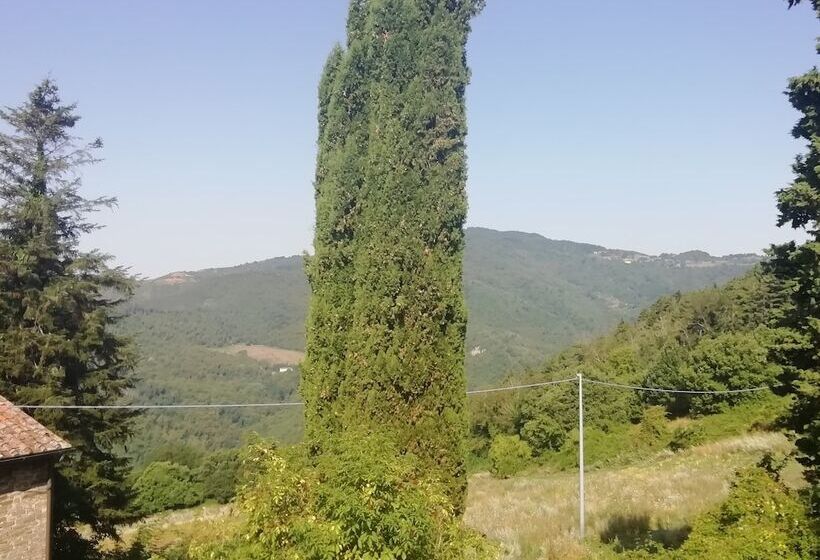 3ベッドルームアパートメント, Fattoria Di Cintoia