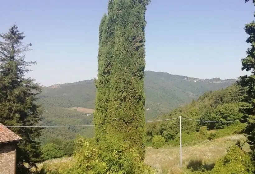 ３ベッドルームアパートメント, Fattoria Di Cintoia