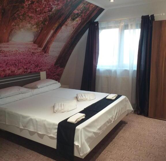 غرفة قياسية, Hobby