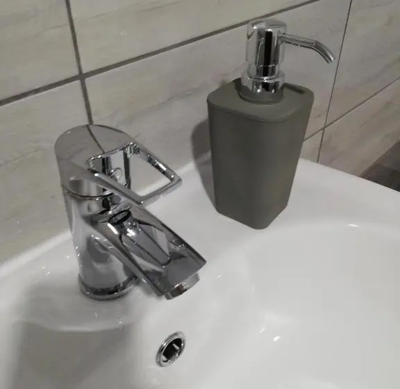 اتاق اکونومی, Hobby