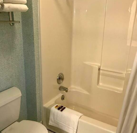 غرفة قياسية سرير كينج, Main Street Motel