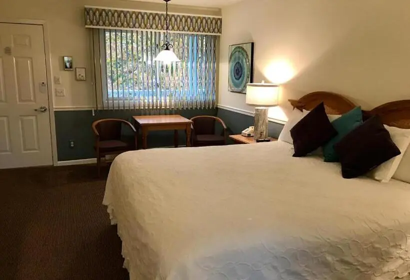 Standard-huone King-vuode, Main Street Motel