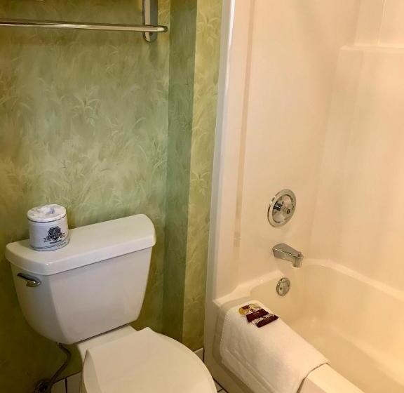 Номер Стандарт, Main Street Motel