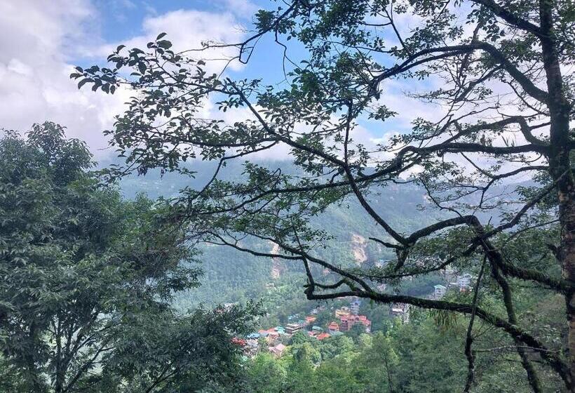 高级大房间, Bella Casa