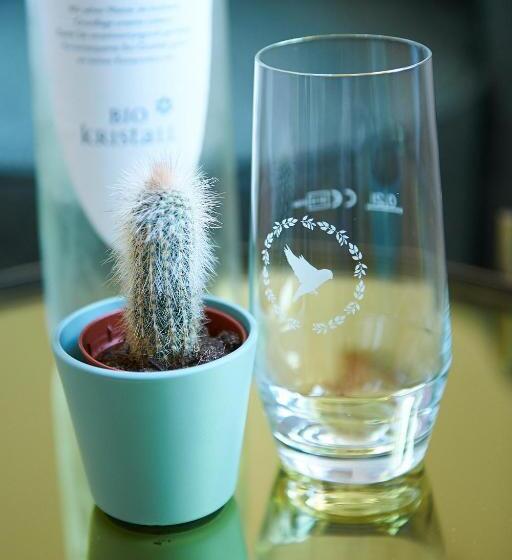 Quarto Estandar com Sacada, Garni Goldammer