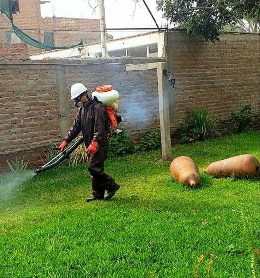 خانه 3 خوابه, Casa Montemira