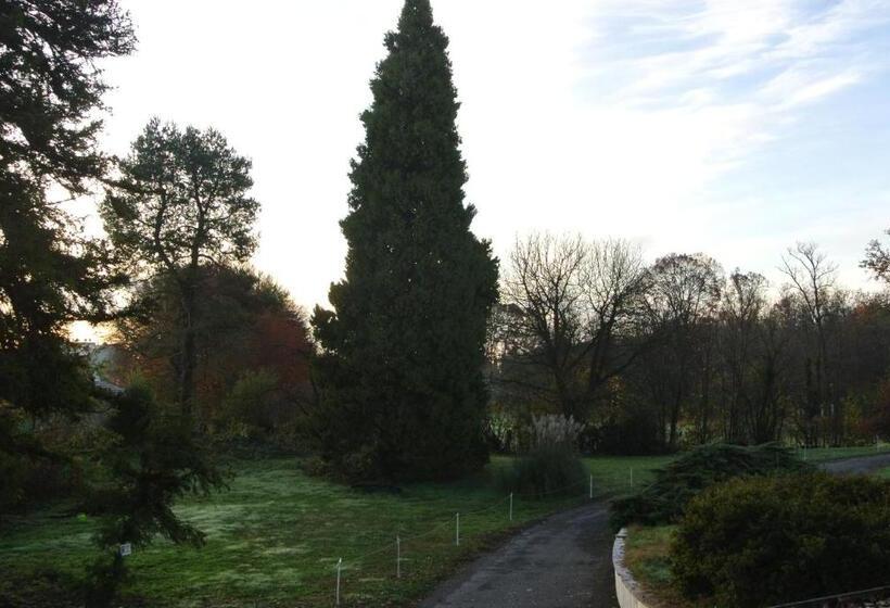 스탠다드 룸 가든 전망, Campagnoli