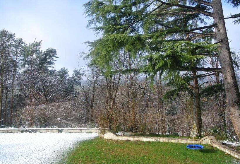 패밀리 룸, Campagnoli