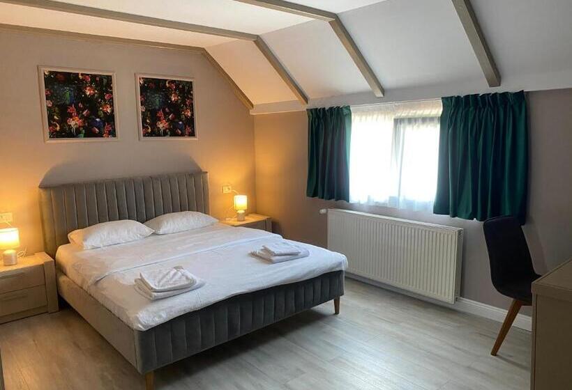 スタンダードルーム, Pensiunea Galileo