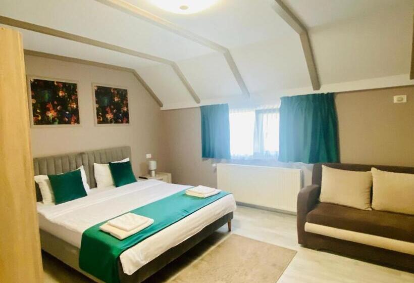 スタンダードルーム, Pensiunea Galileo