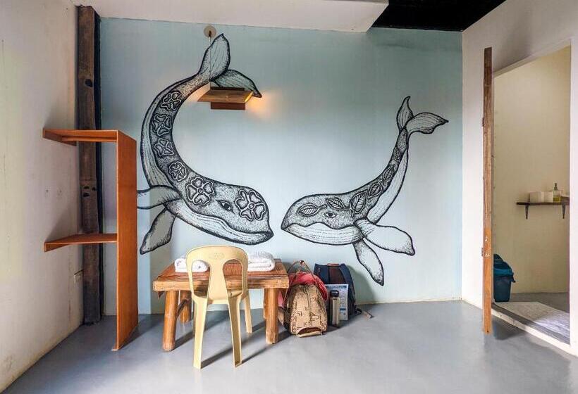 اتاق استاندارد, Lexias Hostel And Workspace   El Nido